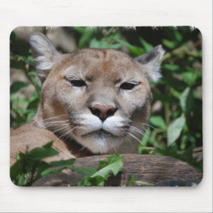 Puma-Raubmausunterlage Mousepad