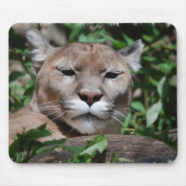 Puma-Raubmausunterlage Mousepad (Vorne)
