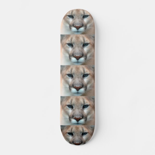Puma Skateboard (Vorderseite)