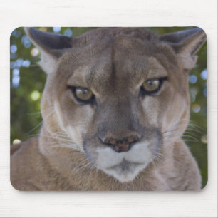 Puma-Sprungs-Mausunterlage Mousepad