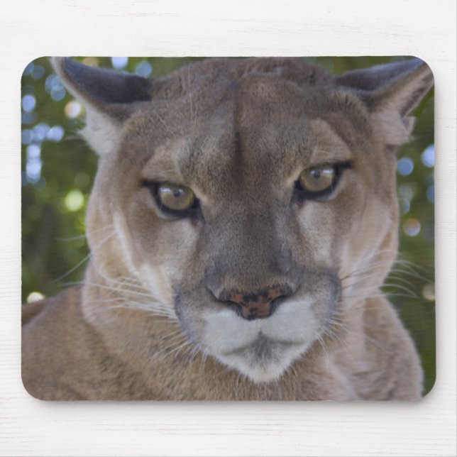 Puma-Sprungs-Mausunterlage Mousepad (Vorne)