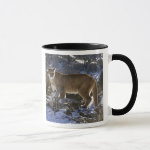 Puma Tasse