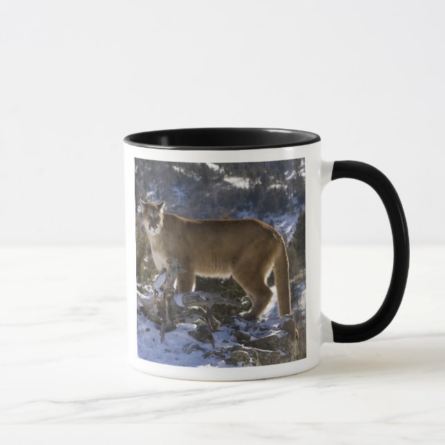 Puma Tasse (Rechts)