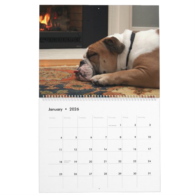 Pumbaa Kalender (Jan 2026)