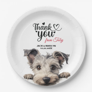 Pumi Dog Pappteller