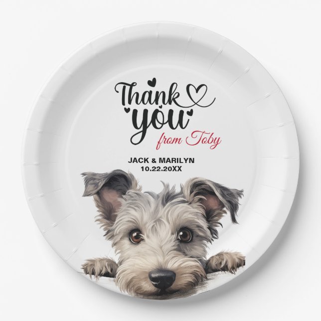 Pumi Dog Pappteller (Vorderseite)