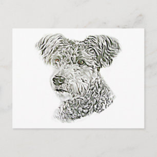 Pumi Postkarte