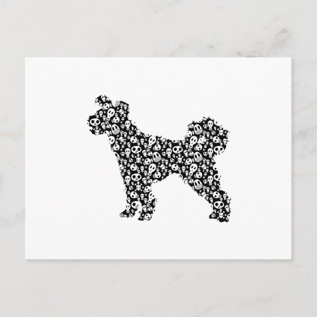 Pumi Postkarte (Vorderseite)