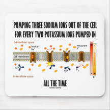 Pumpen von drei Natriumionen aus der Zelle (Na-K-P
