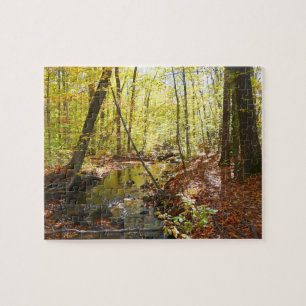 Pumpenhausweg im Herbst Puzzle
