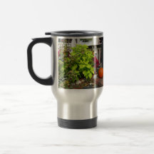 Pumpkin and Coleus - Martha's Vineyard