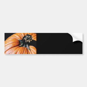 Pumpkin Autoaufkleber