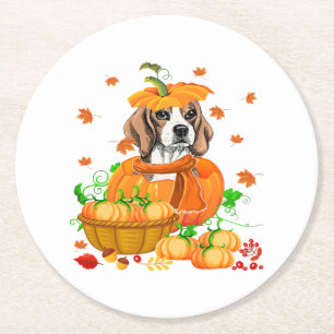 Pumpkin Beagle Erntedank Beagle in Pumpkin Runder Pappuntersetzer