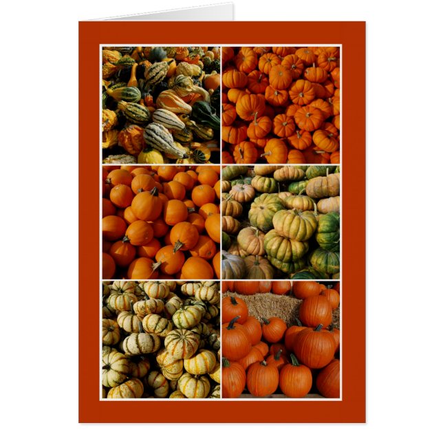 Pumpkin Collage, Gelbes Inneres (Vorne)