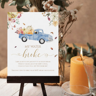Pumpkin Fall Baby Dusche Mein Wasser Broke Spiel S Poster