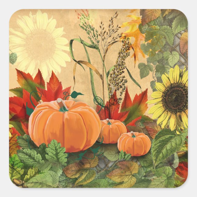 Pumpkin Fall Harvest Quadratischer Aufkleber (Vorderseite)