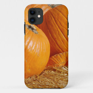 Pumpkin Fall Scene Case-Mate iPhone Hülle