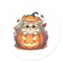 Pumpkin Flüchtige Blick Persian - Fluffy Persian H