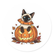 Pumpkin-Flüchtige Blick Siamese - Niedliche Hallow