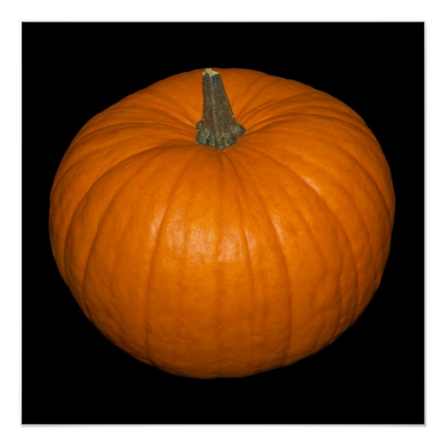 Pumpkin-Foto im schwarzen Hintergrund Poster (Vorderseite)