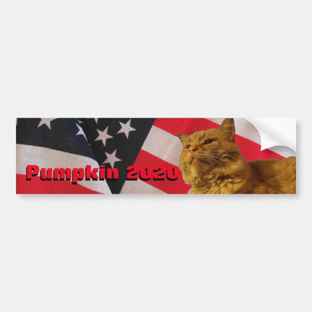 Pumpkin für Präsident mit Flag Hintergrund Autoaufkleber (Vorne)