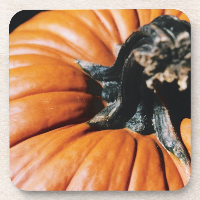 Pumpkin Getränkeuntersetzer (Vorderseite)