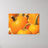 PUMPKIN HARVEST 60 X 40 WRAPPED CANVAS