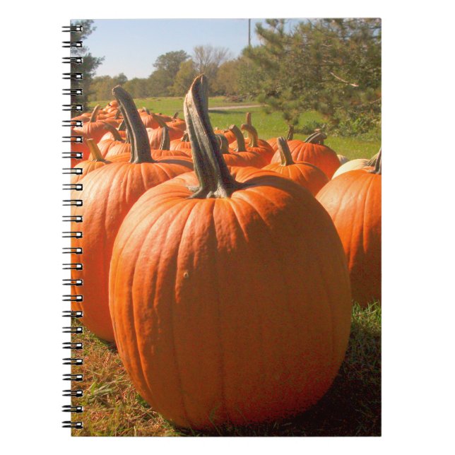 Pumpkin Harvest Notizblock (Vorderseite)