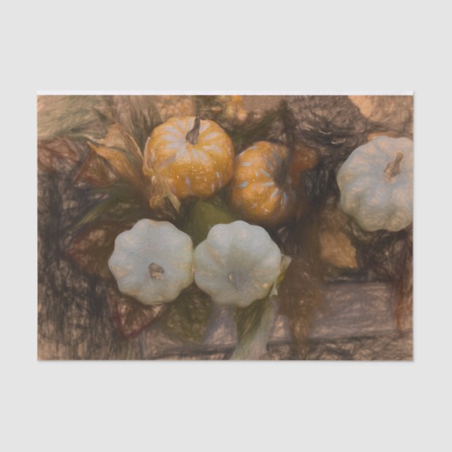 Pumpkin Herbst Weißorange Vintage antike Skizze Seidenpapier (Vorderseite)