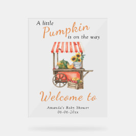 Pumpkin ist auf dem Weg Welcome Baby Dusche Acrylschild