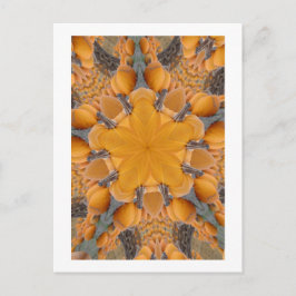 Pumpkin Kaleidoskop Postkarte
