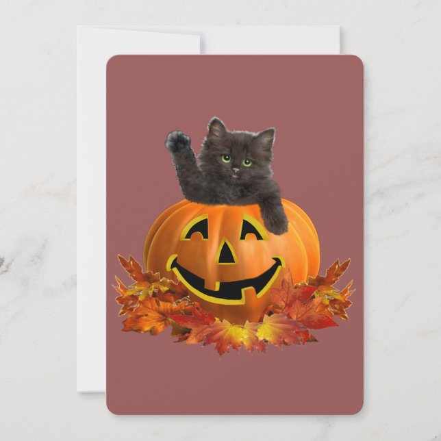 Pumpkin Kitty (Vorderseite)