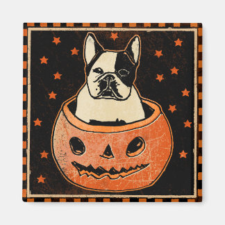 Pumpkin Magnet