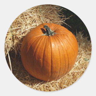Pumpkin on Hay Bales Runder Aufkleber