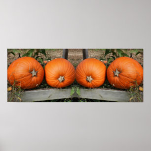 Pumpkin Pair Fall Mirror Abstrakt Poster
