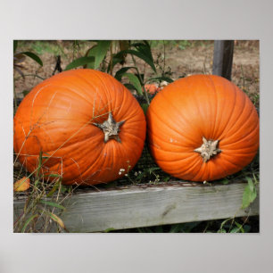 Pumpkin Pair Fall Poster