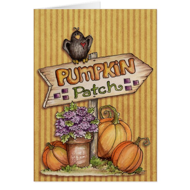 Pumpkin Patch (Vorne)
