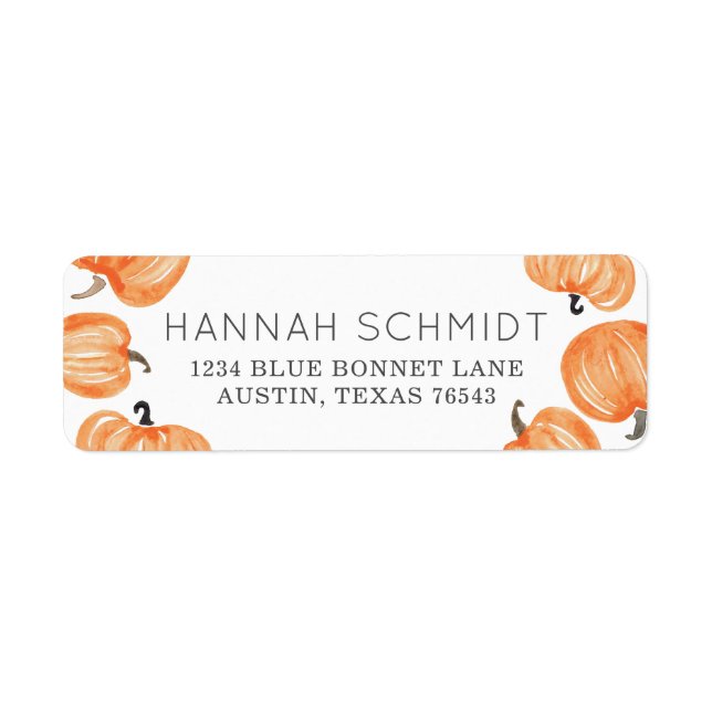 Pumpkin Patch (Vorne)