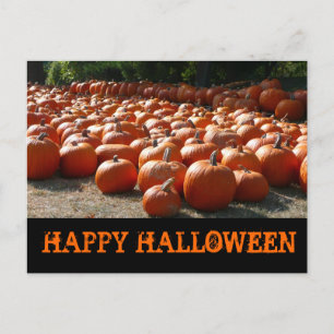 Pumpkin Patch Happy Halloween Postkarte
