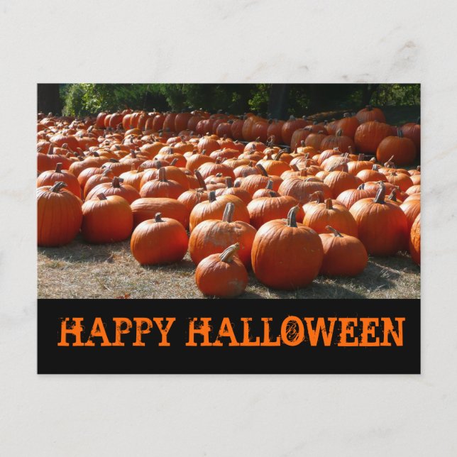 Pumpkin Patch Happy Halloween Postkarte (Vorderseite)