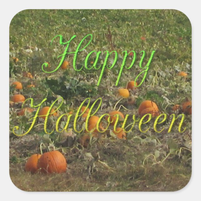 Pumpkin Patch Herbst Herbst Halloween Stickers (Vorderseite)