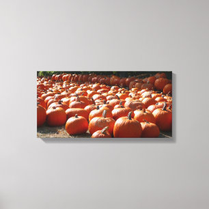 Pumpkin Patch Herbsternte Fotografie Leinwanddruck