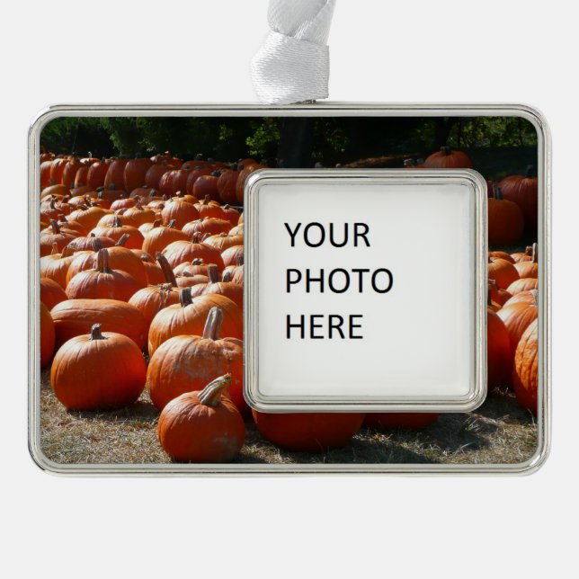 Pumpkin Patch Herbsternte Fotografie Rahmen-Ornament Silber (Vorderseite)