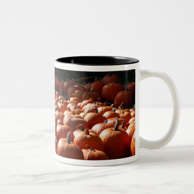 Pumpkin Patch Herbsternte Fotografie Zweifarbige Tasse (Rechts)