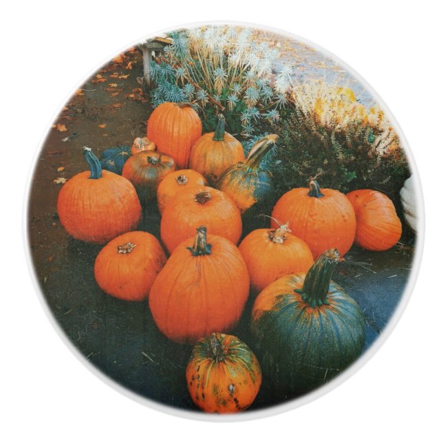 Pumpkin Patch Keramikknauf (Vorderseite)