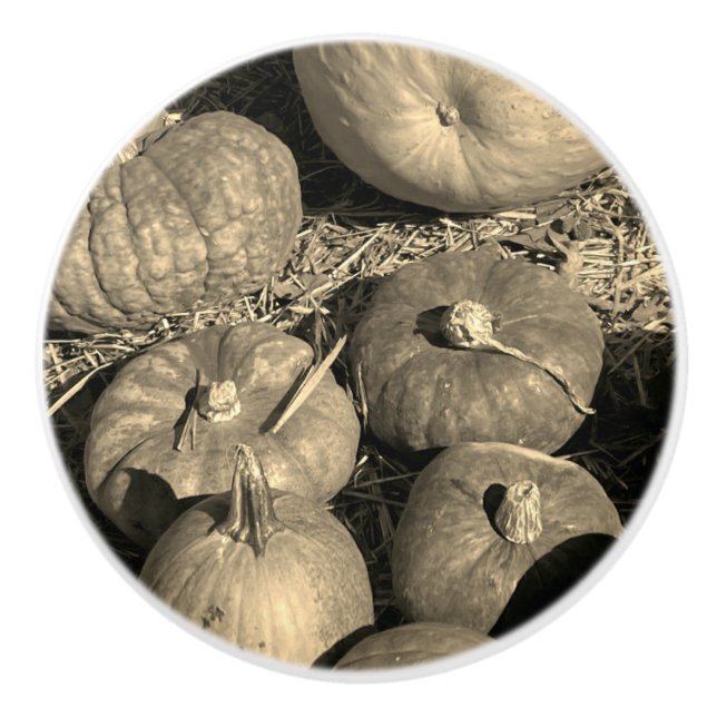 Pumpkin Patch Keramikknauf (Vorderseite)