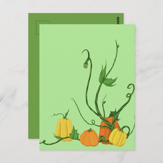 Pumpkin Patch Postkarte (Vorne/Hinten)