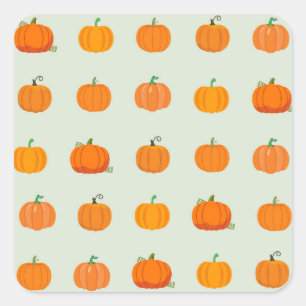 Pumpkin Patch Quadratischer Aufkleber