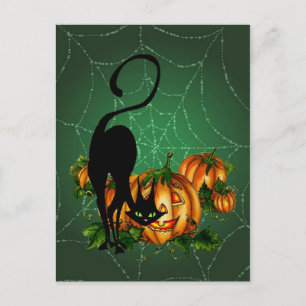 PUMPKIN PATCH, SCHWARZE KATZE & WEB VON SHARON SHA POSTKARTE