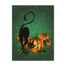 PUMPKIN PATCH, SCHWARZE KATZE & WEB VON SHARON SHA